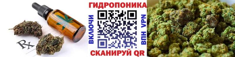 Купить где  Чаплыгин  Cannafood конопля 
