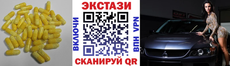 Купить  Чаплыгин  Ecstasy TESLA 
