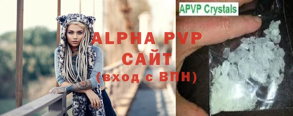 прущие грибы Козловка