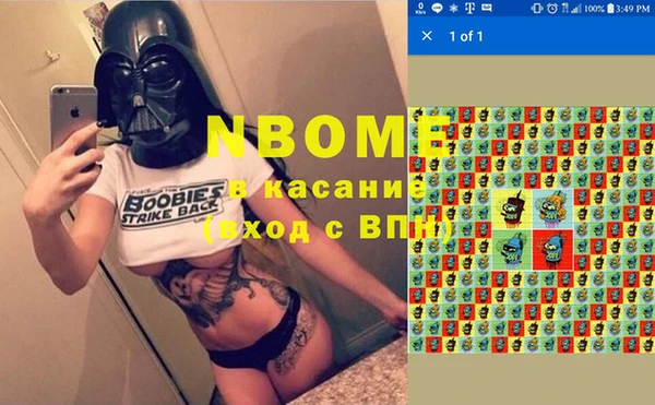прущие грибы Козловка