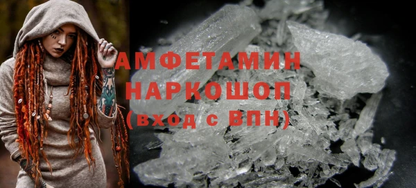 прущие грибы Козловка