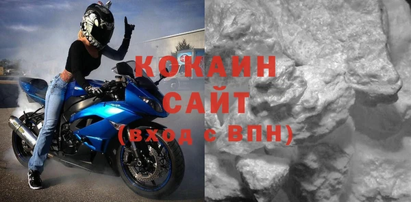 прущие грибы Козловка